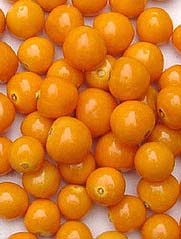 Cape gooseberries or Golden berries.
